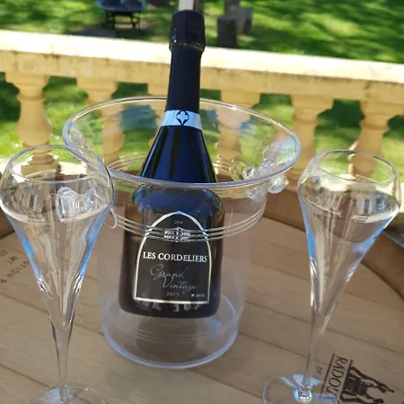 Chateau Puygrenier Villefranche-de-Lonchat