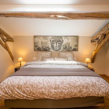 Chateau Puygrenier Bed & Breakfast 3*