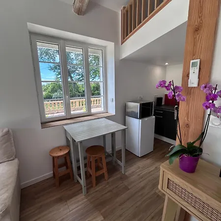 Chateau Puygrenier 3* Villefranche-de-Lonchat