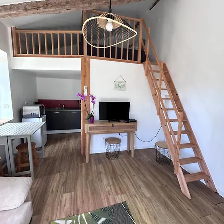 Chateau Puygrenier 3* Villefranche-de-Lonchat