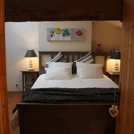 Bed & Breakfast Chateau Puygrenier