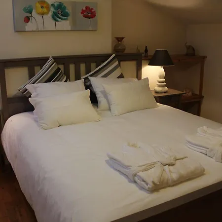 Chateau Puygrenier Bed & Breakfast 3*