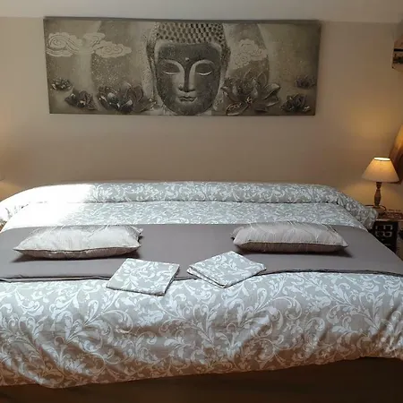 Chateau Puygrenier Bed & Breakfast 3*